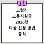 고령자 고용지원금 2026년 대상 신청 방법 공식 사이트 확인