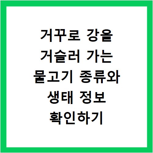 거꾸로 강을 거슬러 가는 물고기 종류와 생태 정보 확인하기
