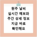 가야CC 회원권 금액별 혜택 비교, 내게 맞는 선택은 무엇일까