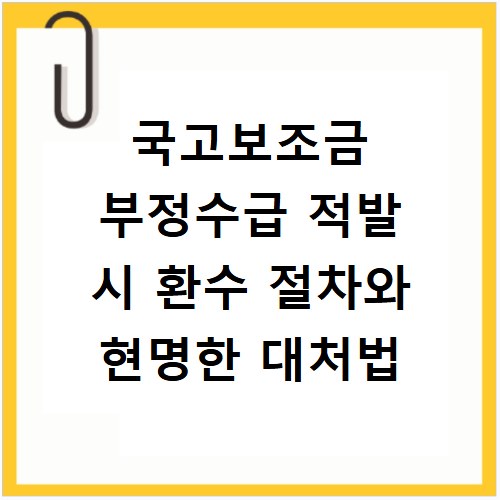 국고보조금 부정수급 적발 시 환수 절차와 현명한 대처법