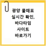 광양 물때표 실시간 확인, 바다타임 사이트 바로가기 안내