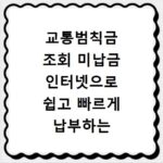교통범칙금 조회 미납금 인터넷으로 쉽고 빠르게 납부하는 방법