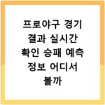프로야구 경기 결과 실시간 확인 승패 예측 정보 어디서 볼까