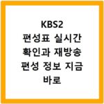 KBS2 편성표 실시간 확인과 재방송 편성 정보 지금 바로 알아보기