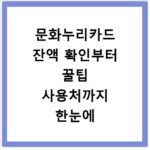 문화누리카드 잔액 확인부터 꿀팁 사용처까지 한눈에 끝내기