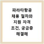 파라타항공 채용 절차와 지원 자격 조건, 궁금증 해결해 드려요