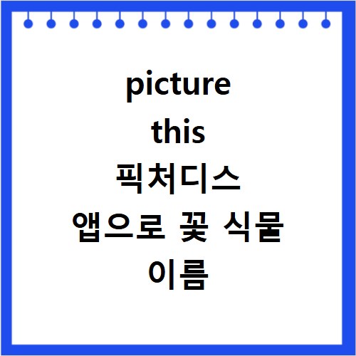 picture this 픽처디스 앱으로 꽃 식물 이름 정확하게 찾아봐요