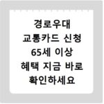 경로우대 교통카드 신청 65세 이상 혜택 지금 바로 확인하세요