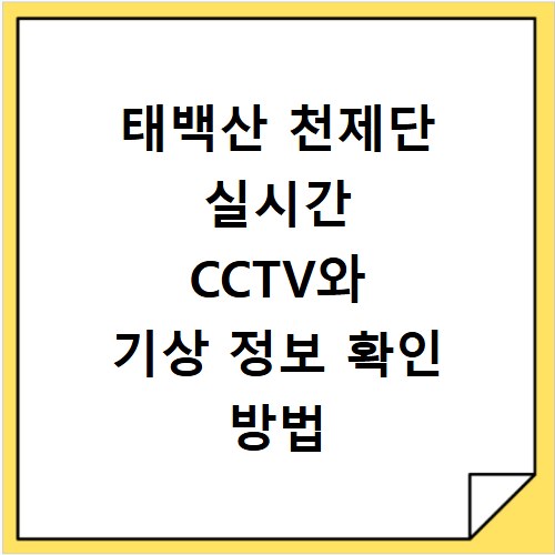 태백산 천제단 실시간 CCTV와 기상 정보 확인 방법