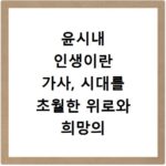 윤시내 인생이란 가사, 시대를 초월한 위로와 희망의 메시지
