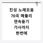 진성 노래모음 70곡 메들리 연속듣기 가사까지 한번에 확인
