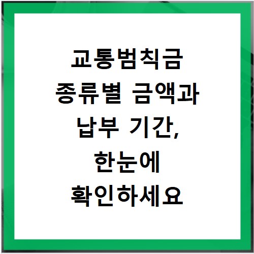 교통범칙금 종류별 금액과 납부 기간, 한눈에 확인하세요