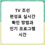 TV 조선 편성표 실시간 확인 방법과 인기 프로그램 시간 알아보기